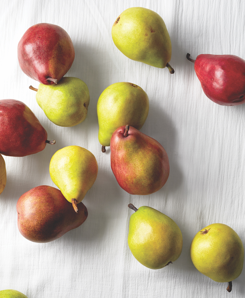 Pear Varieties List
