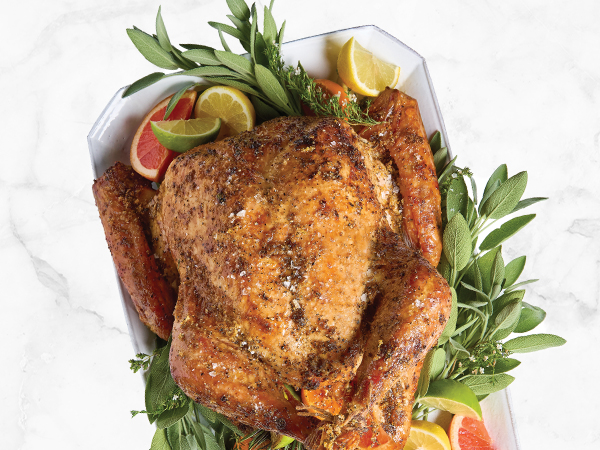 Where to Put Thermometer in Turkey 🍗 : Optimal Meat Thermometer