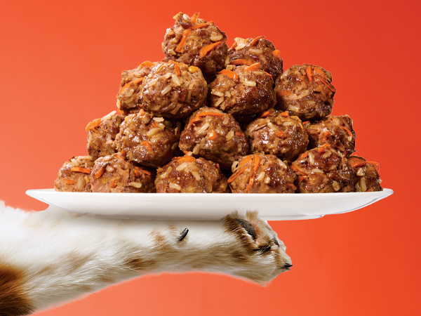 Doggie Meatballs Dog Treats-image