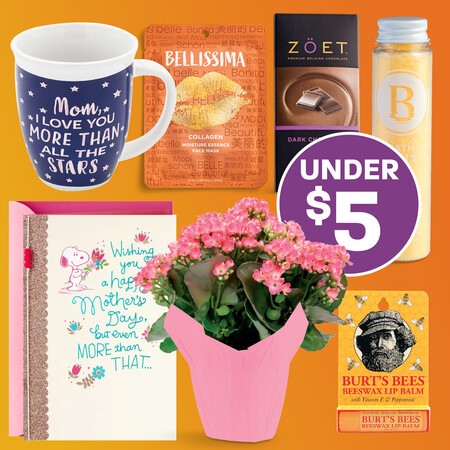 10 Thoughtful Mother's Day Gifts Mom Will Love - Shane & Simple