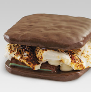 Chocolate Covered S'mores! 